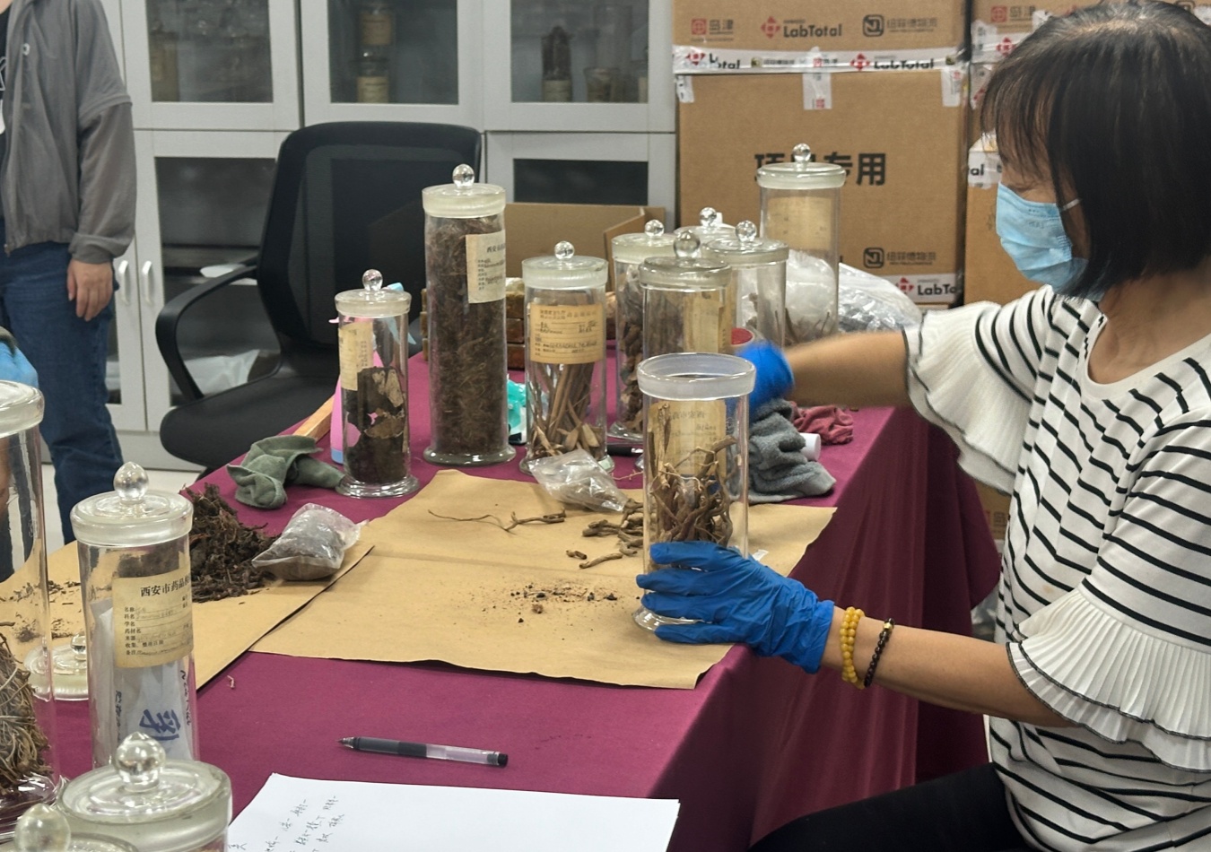 老标本新面貌修复