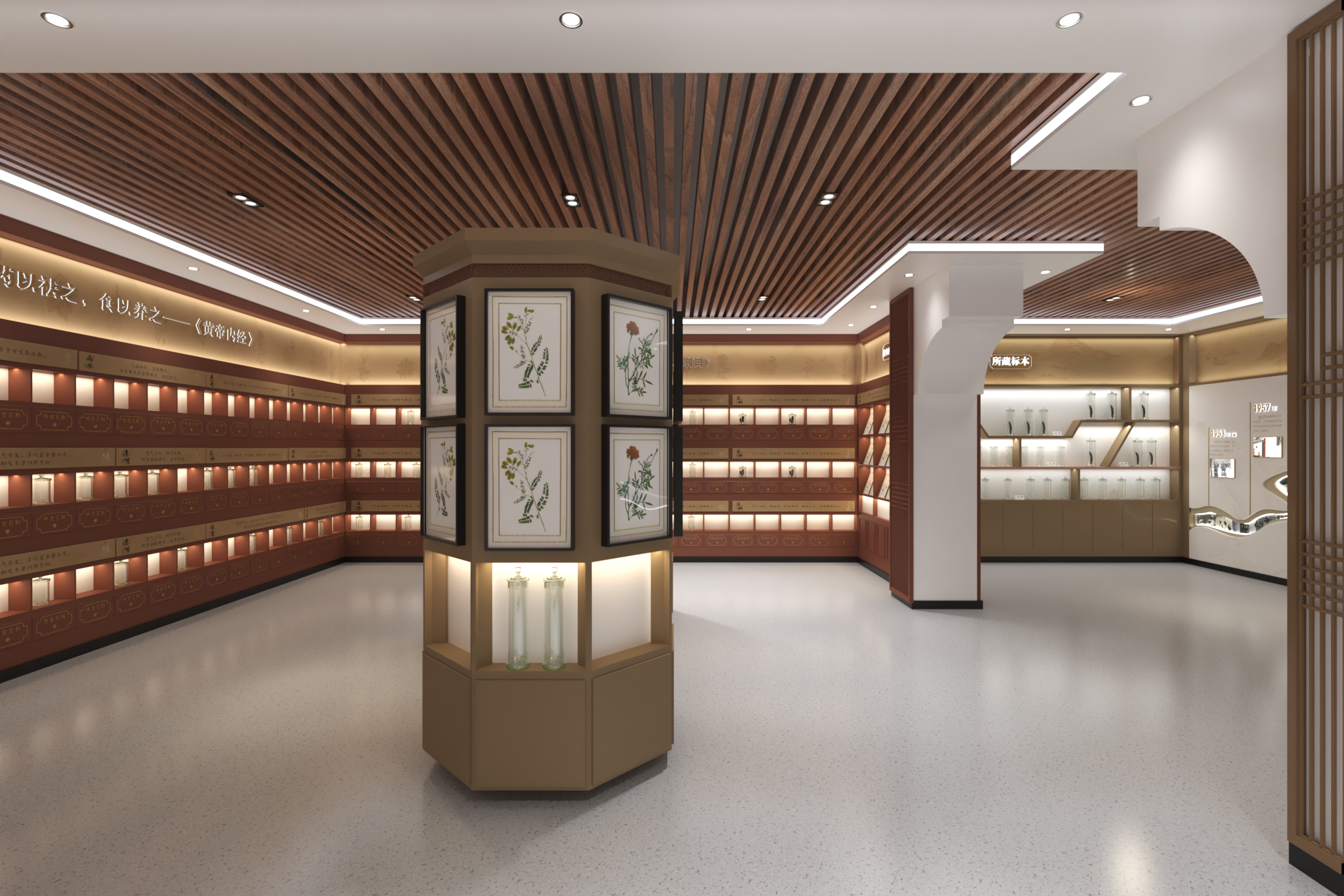 中药标本馆2.0|从构想到图纸创意逐步落地生根!